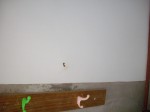 IMGP2282