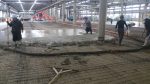 IMG_20161125_090920